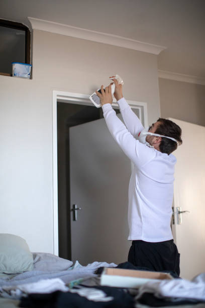 Best Black Mold Removal  in Los Alamos, NM