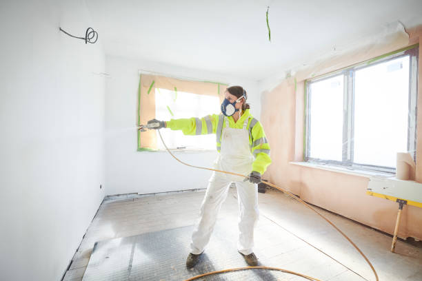 Best Asbestos and Lead Testing During Mold Inspection  in Los Alamos, NM