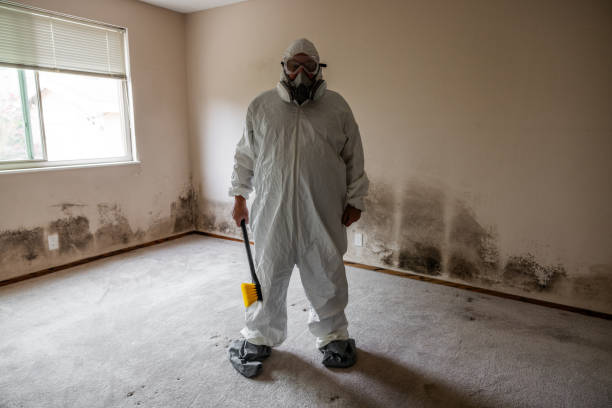 Best Industrial Mold Remediation  in Los Alamos, NM