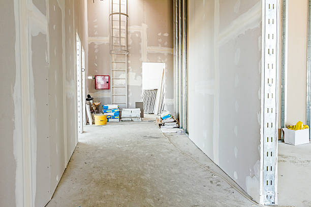 Best Mold Damage Restoration  in Los Alamos, NM