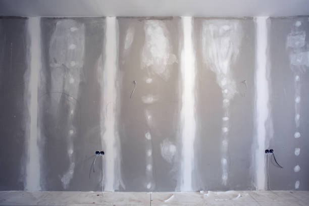 Best Mold Prevention Services  in Los Alamos, NM